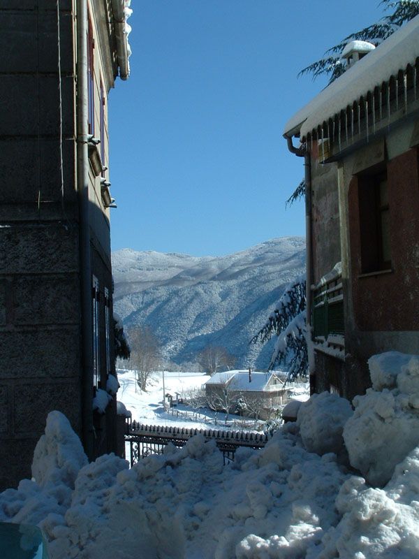 Fabrizia innevata